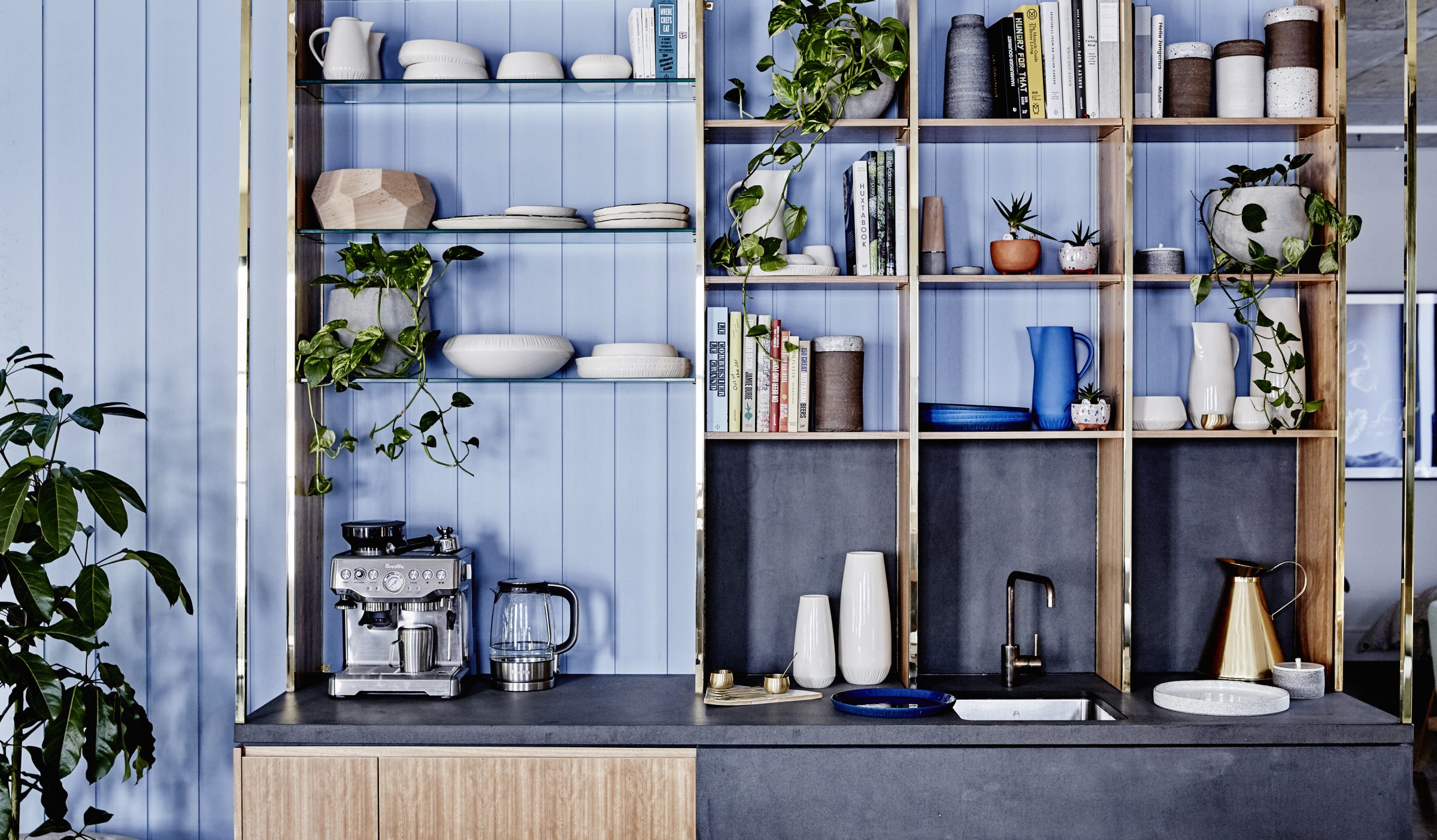 Modern kitchen with wooden shelves and plants, part of "Jardan, Brisbane".