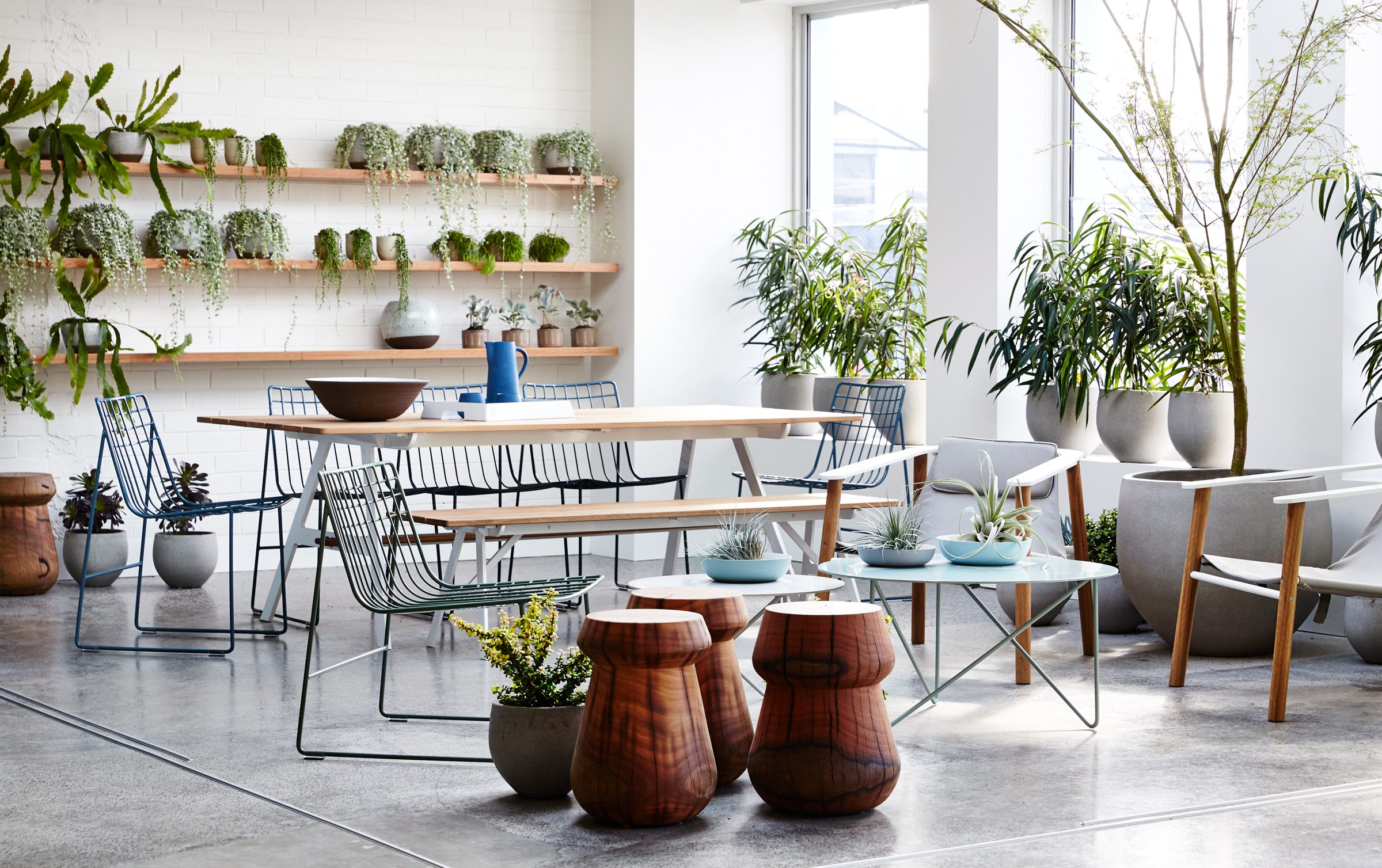 Modern interior space with plants and stylish furniture, part of Jardan, Melbourne.