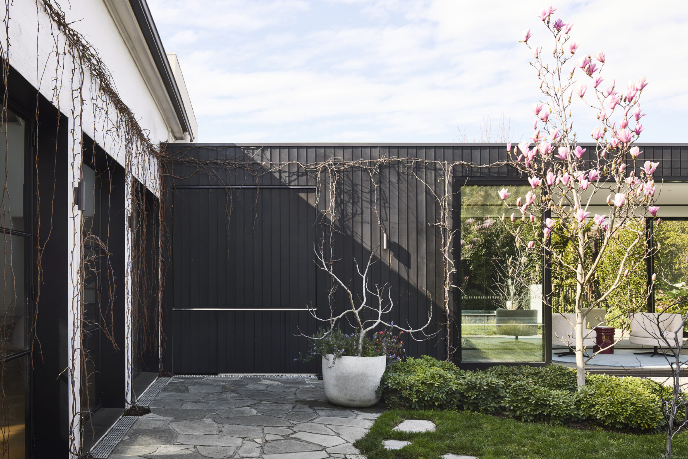 Modern courtyard with black walls and blooming magnolia tree in Day House.