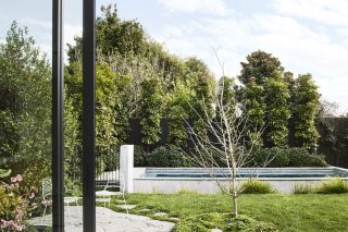 Day House backyard with a small pool, greenery, and white patio chairs.