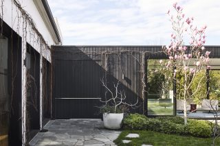 Modern courtyard with black walls and blooming magnolia tree in Day House.